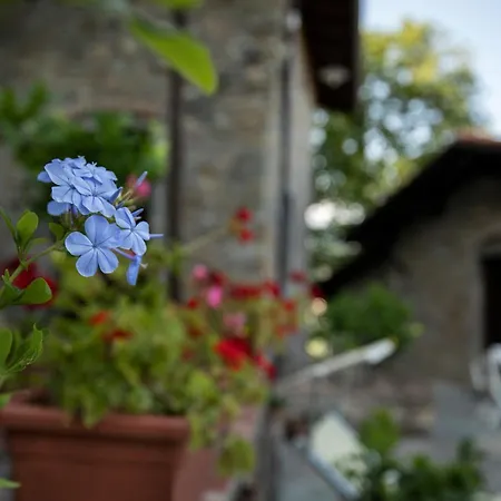 Birillina Di Laura Reni Bed and breakfast *